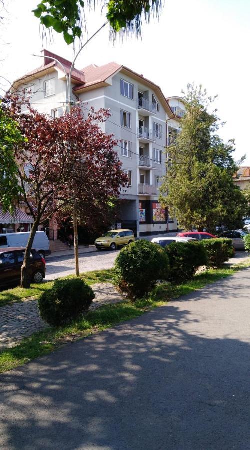 Apartments Domovik Просторная Квартира С Видом На Горы Mukatschewo Exterior foto