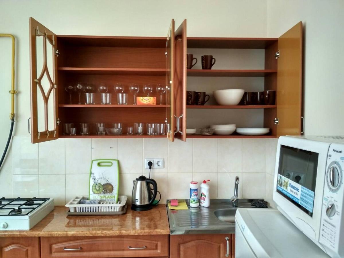 Apartments Domovik Просторная Квартира С Видом На Горы Mukatschewo Exterior foto